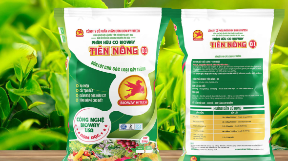 CÔNG TY TNHH SẢN XUẤT BAO BÌ NHẬT TIẾN