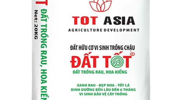 CÔNG TY TNHH SẢN XUẤT BAO BÌ NHẬT TIẾN