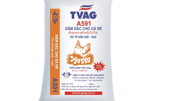 CÔNG TY TNHH SẢN XUẤT BAO BÌ NHẬT TIẾN